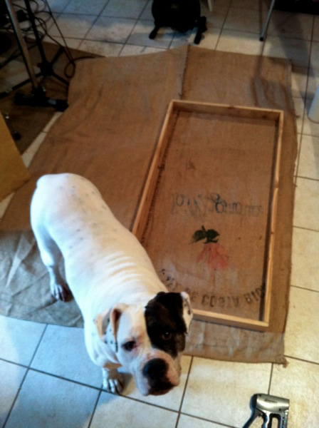 Pasted image 20250110163530.png