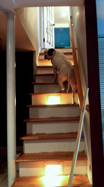 Pasted image 20250110163609.png